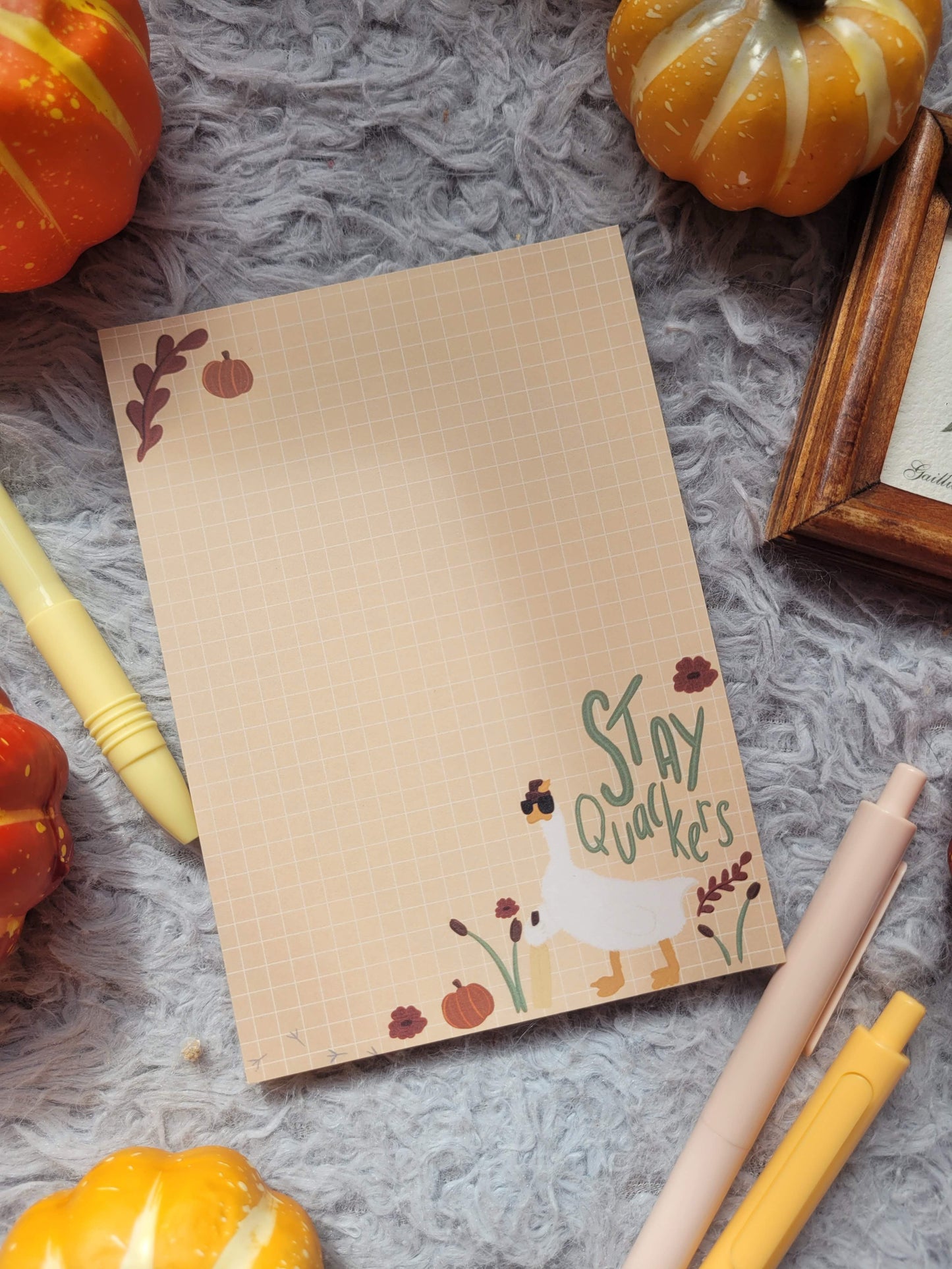 Stay Quackers A6 memo notepad (Graham the Goose collection)