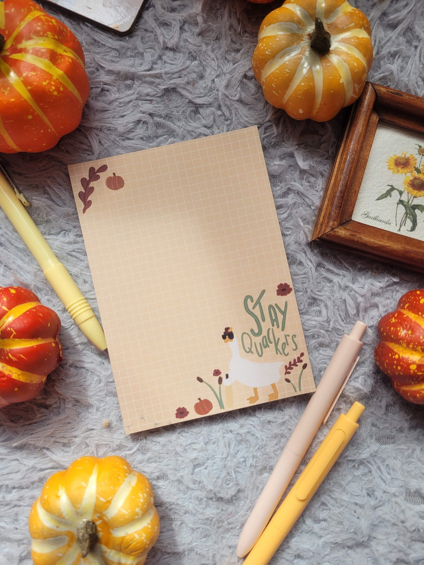 Stay Quackers A6 memo notepad (Graham the Goose collection)