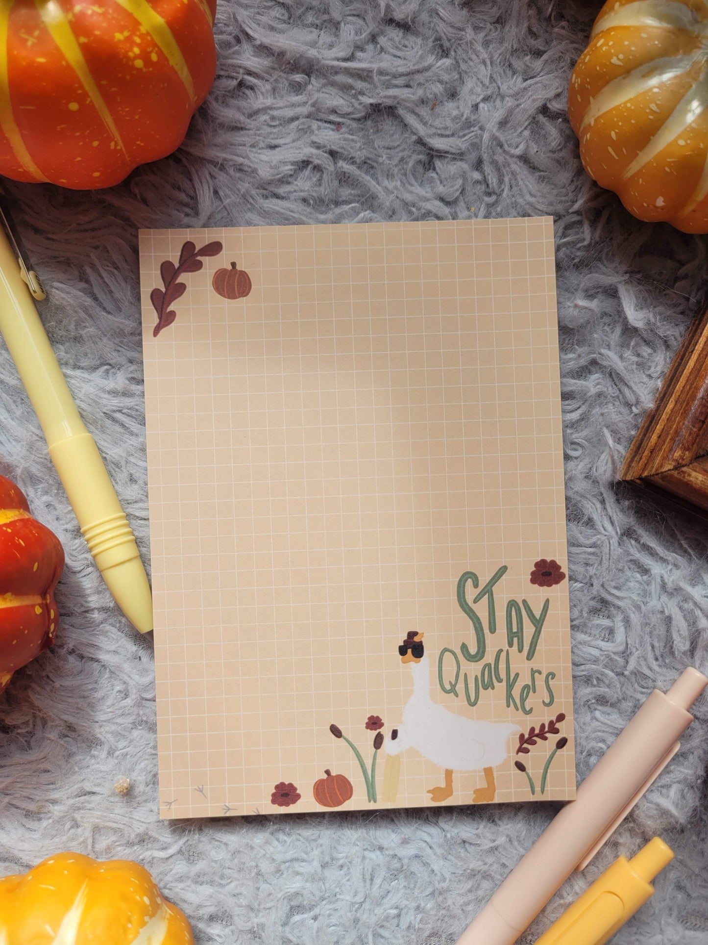 Stay Quackers A6 memo notepad (Graham the Goose collection)