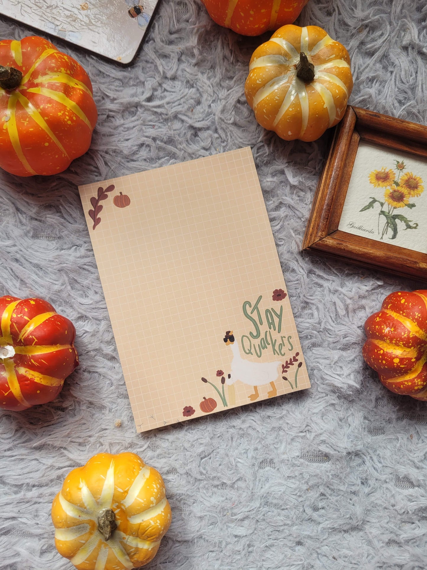 Stay Quackers A6 memo notepad (Graham the Goose collection)